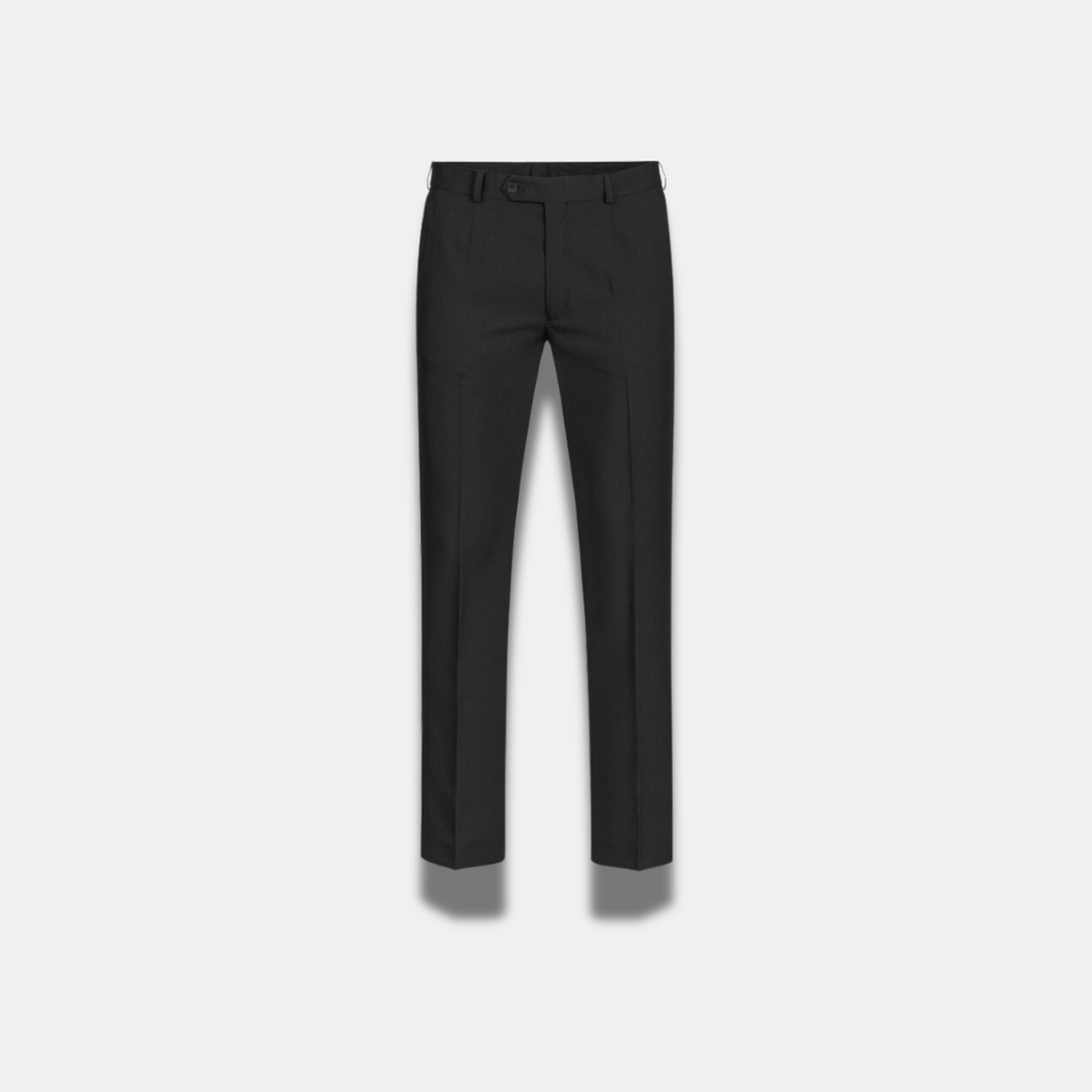 Pantalon homme Prestige, coloris Noir, vue 2